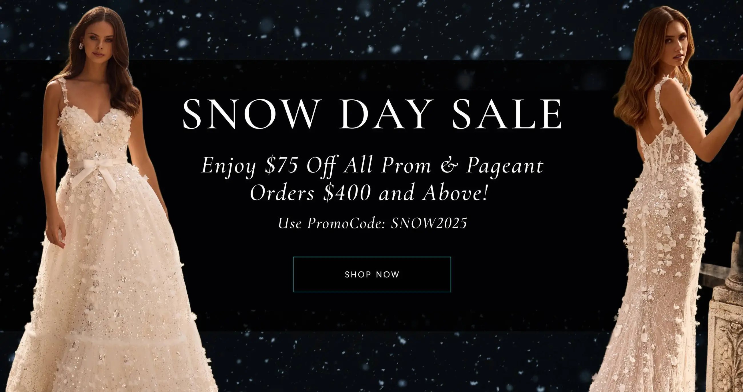 Snow Day Sale